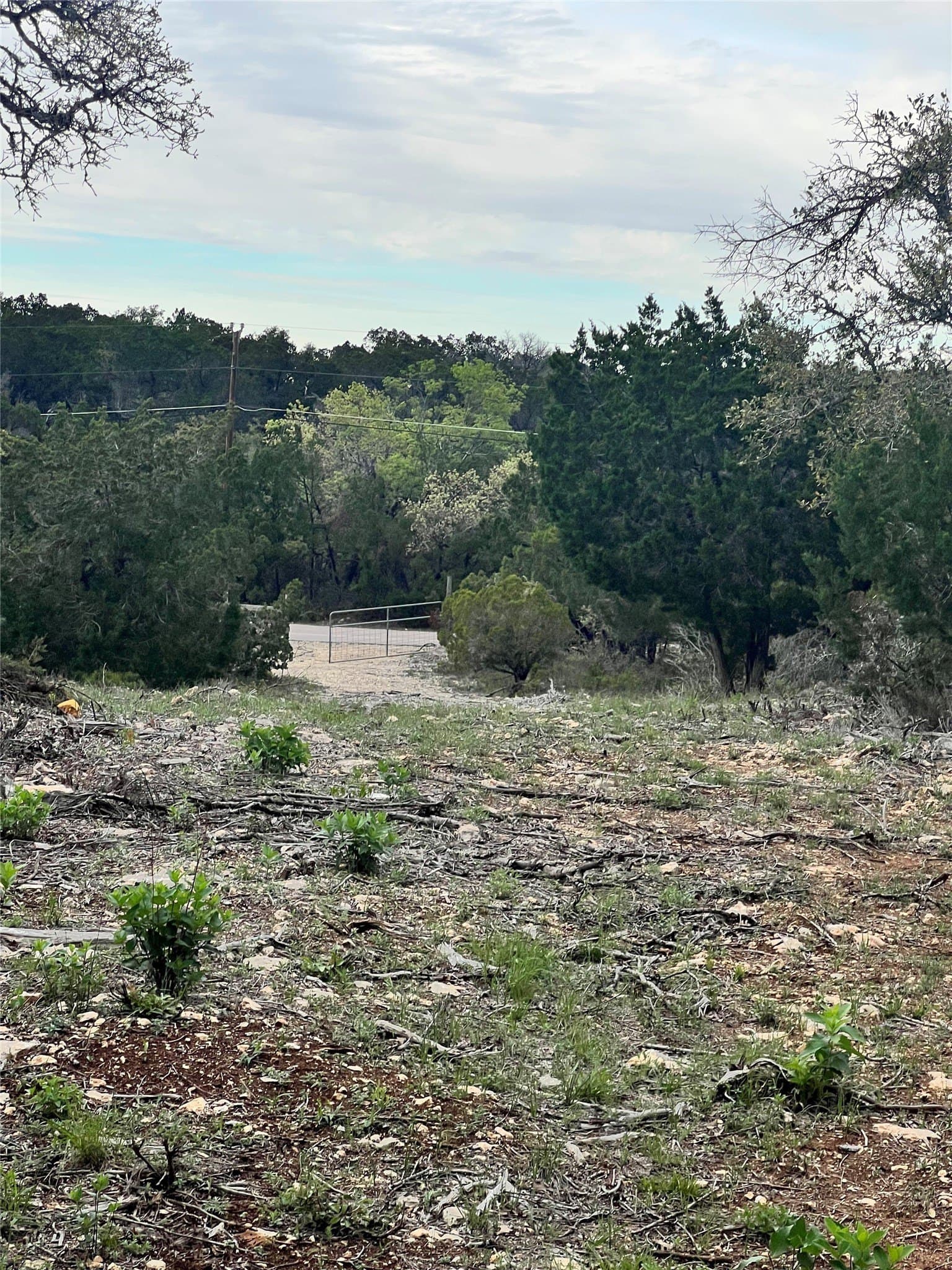 15.41 acres in Travis County - photo 15
