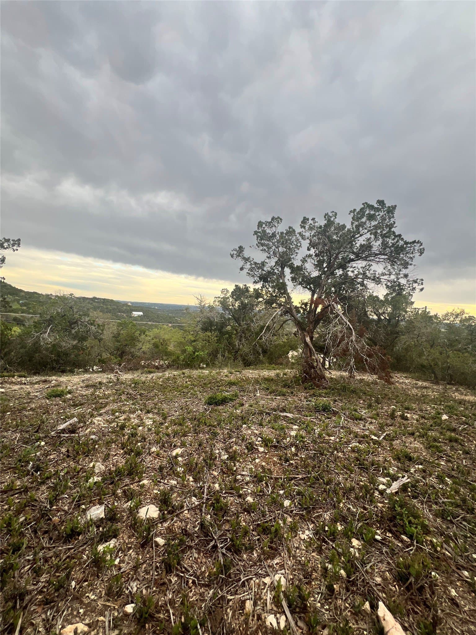 15.41 acres in Travis County - photo 12