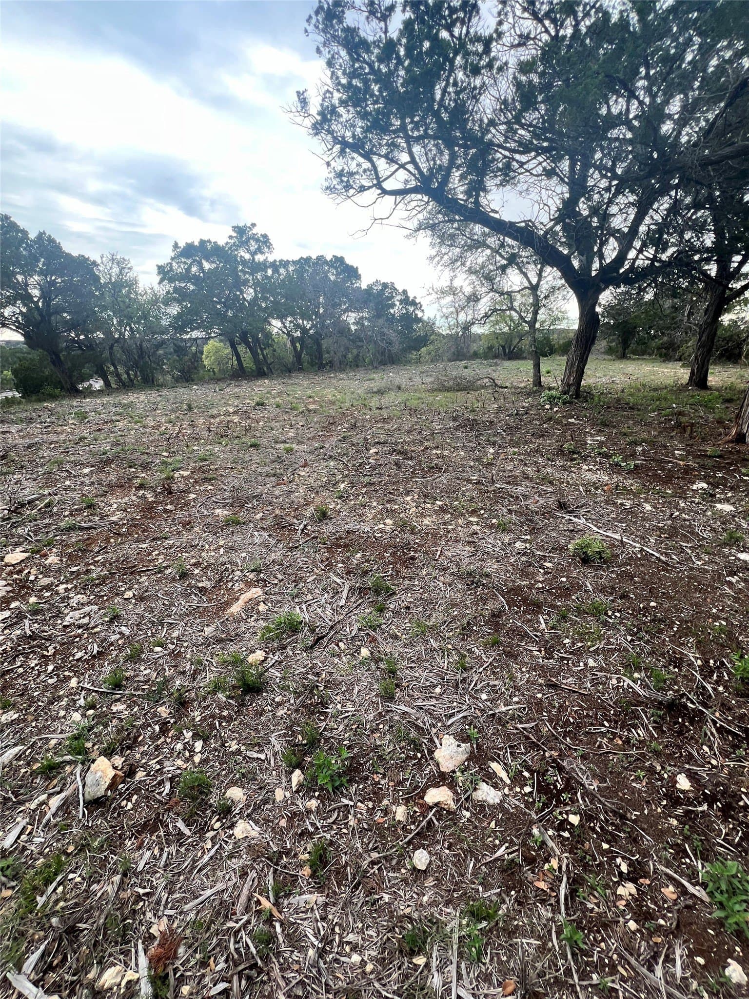 15.41 acres in Travis County - photo 6