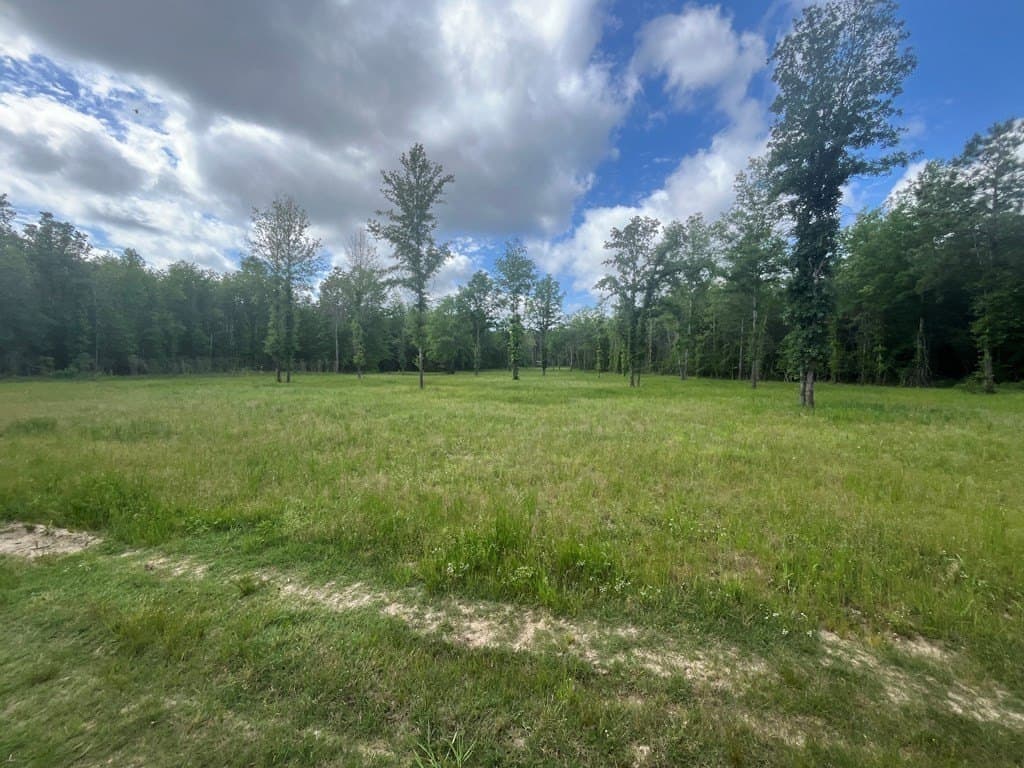 124 acres in Texas County featured view