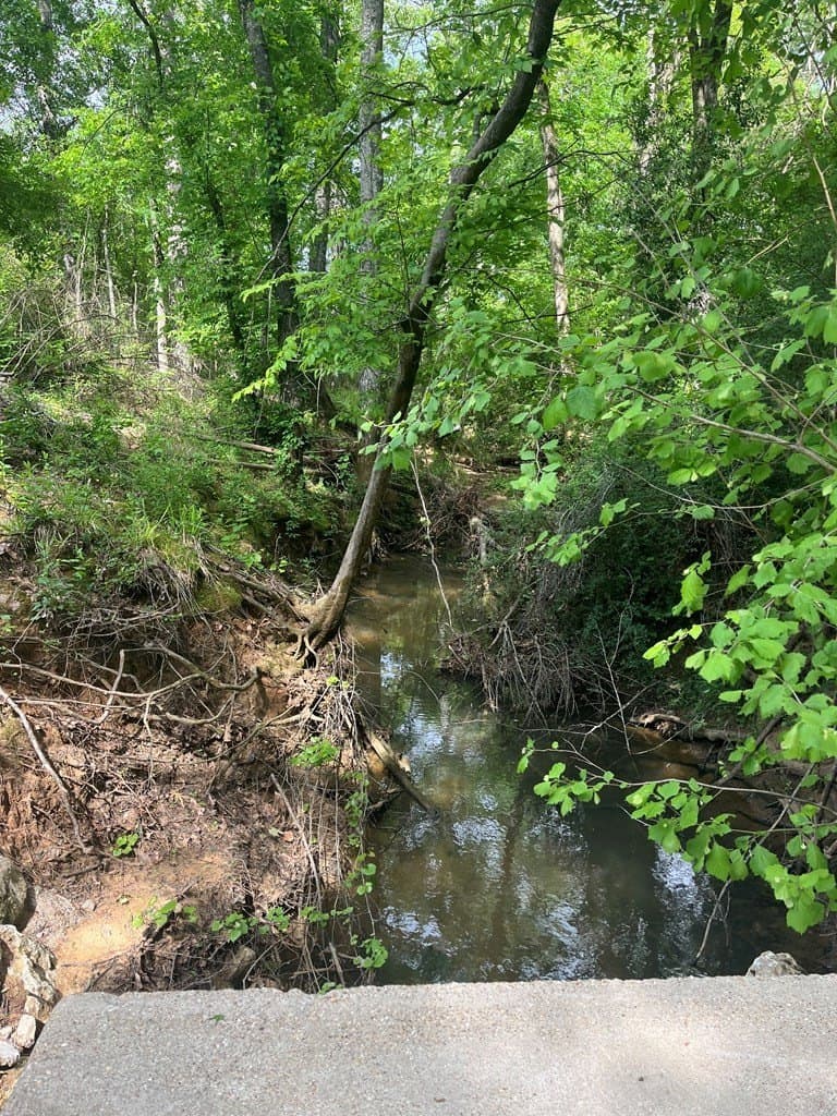 124 acres in Texas County gallery image 4