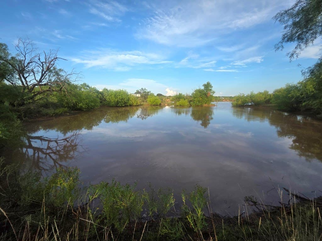109 acres in Nolan County gallery image 3