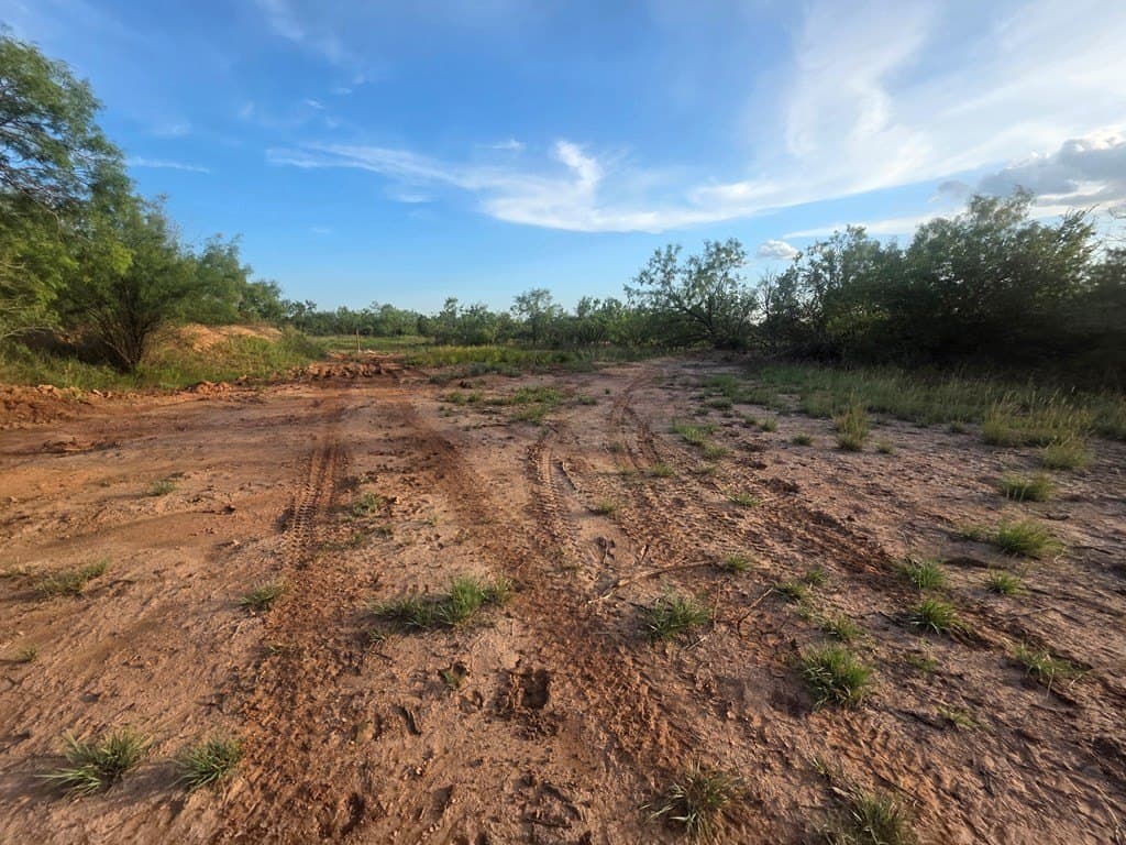 109 acres in Nolan County gallery image 2