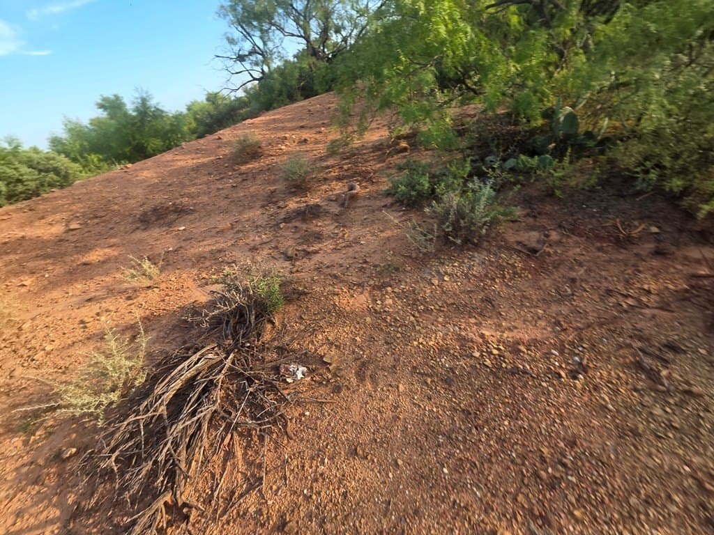 109 acres in Nolan County featured view