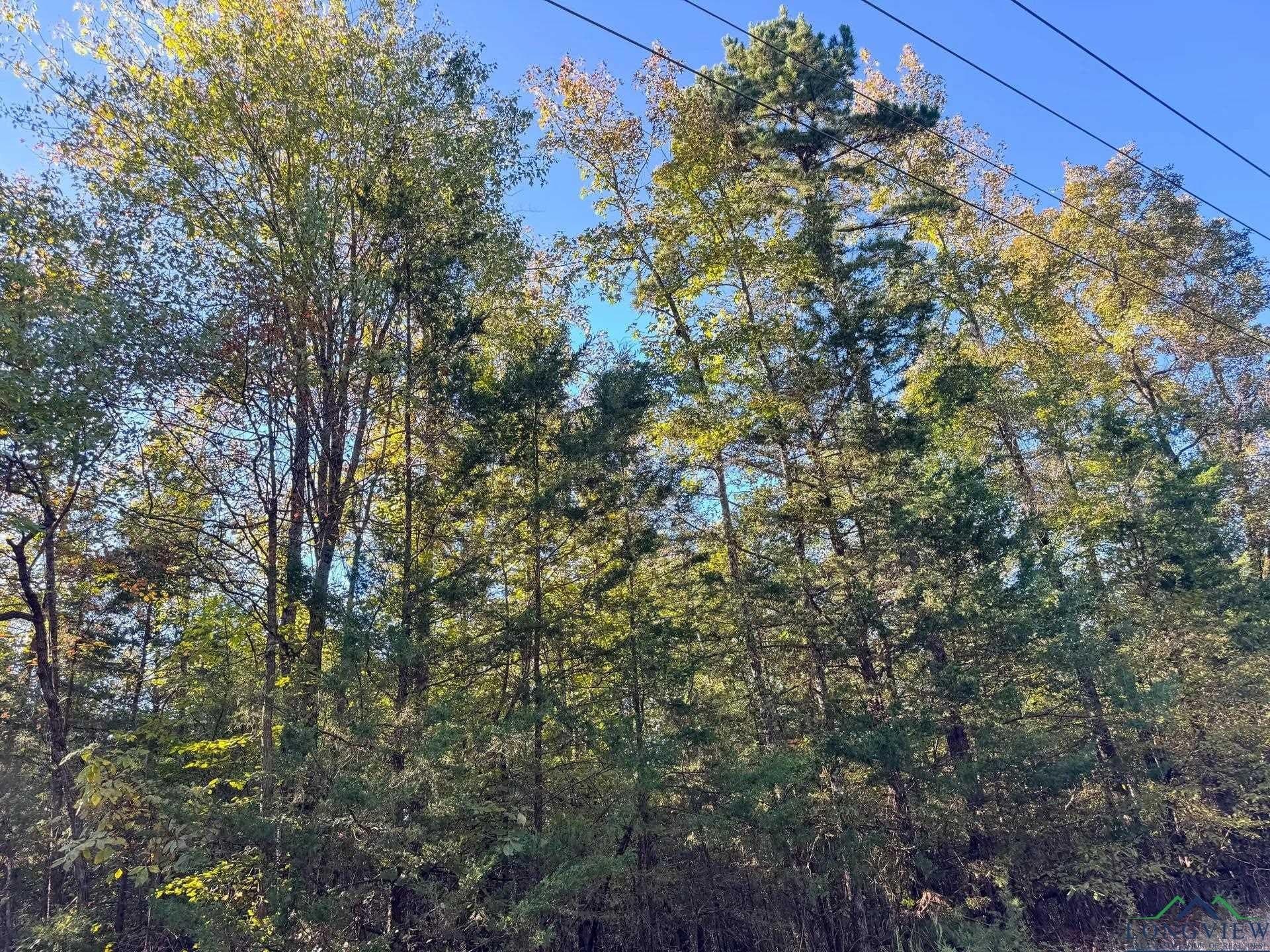 9.19 acres in Cass County gallery image 4