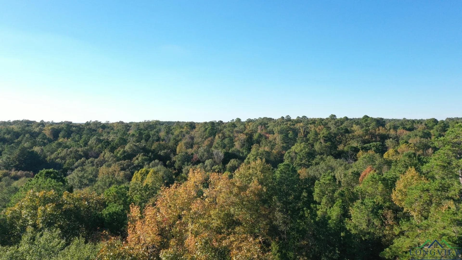 9.19 acres in Cass County gallery image 2