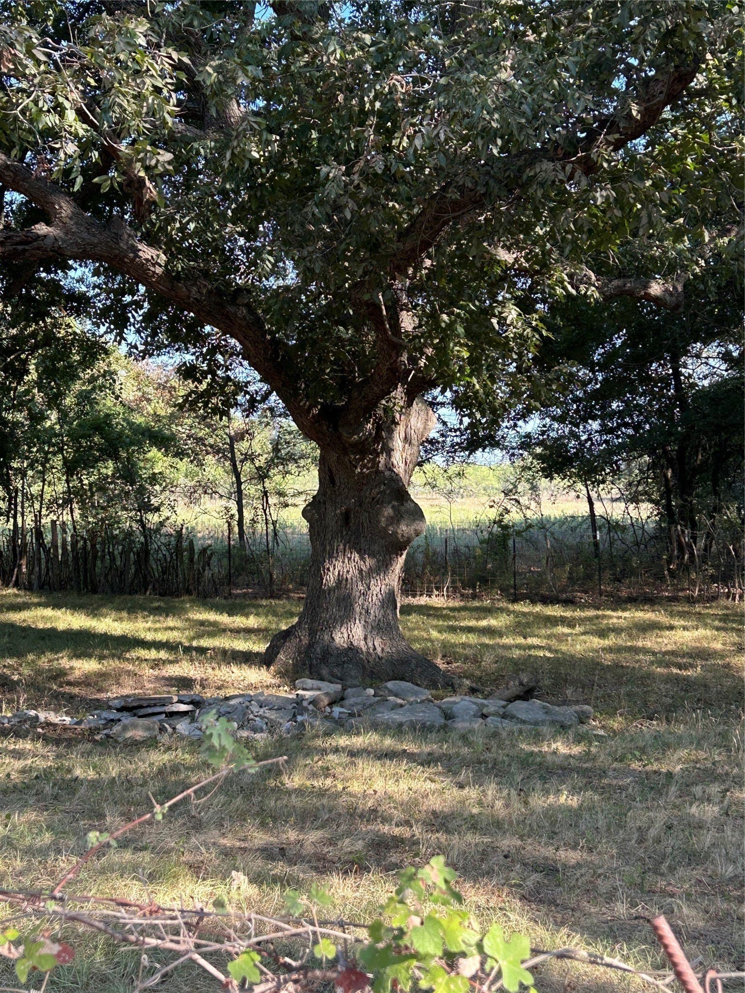 8.48 acres in Navarro County - photo 16