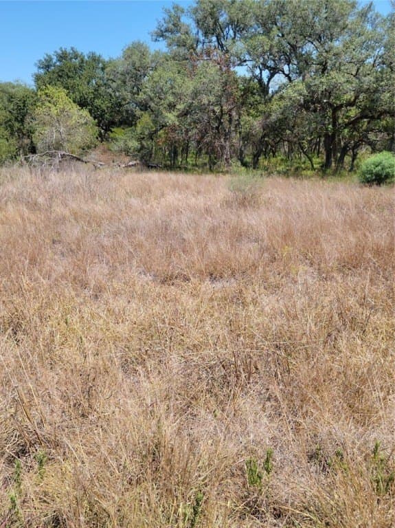 1.73 acres in Victoria County gallery image 2