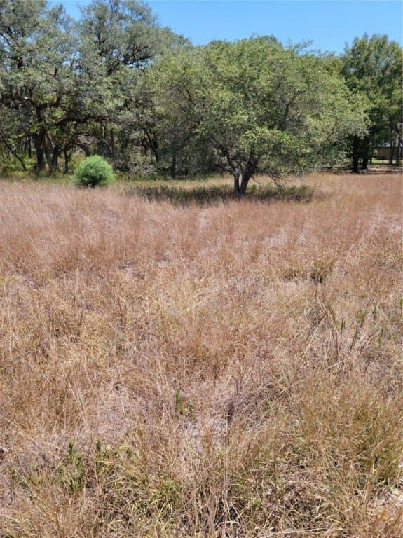 1.73 acres in Victoria County gallery image 4