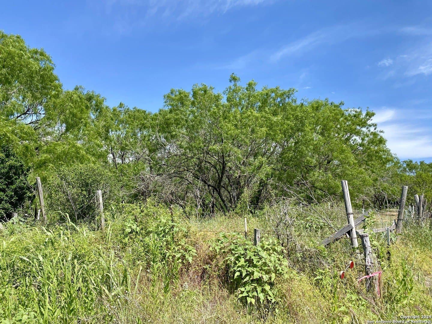 2 acres in Atascosa County - photo 21