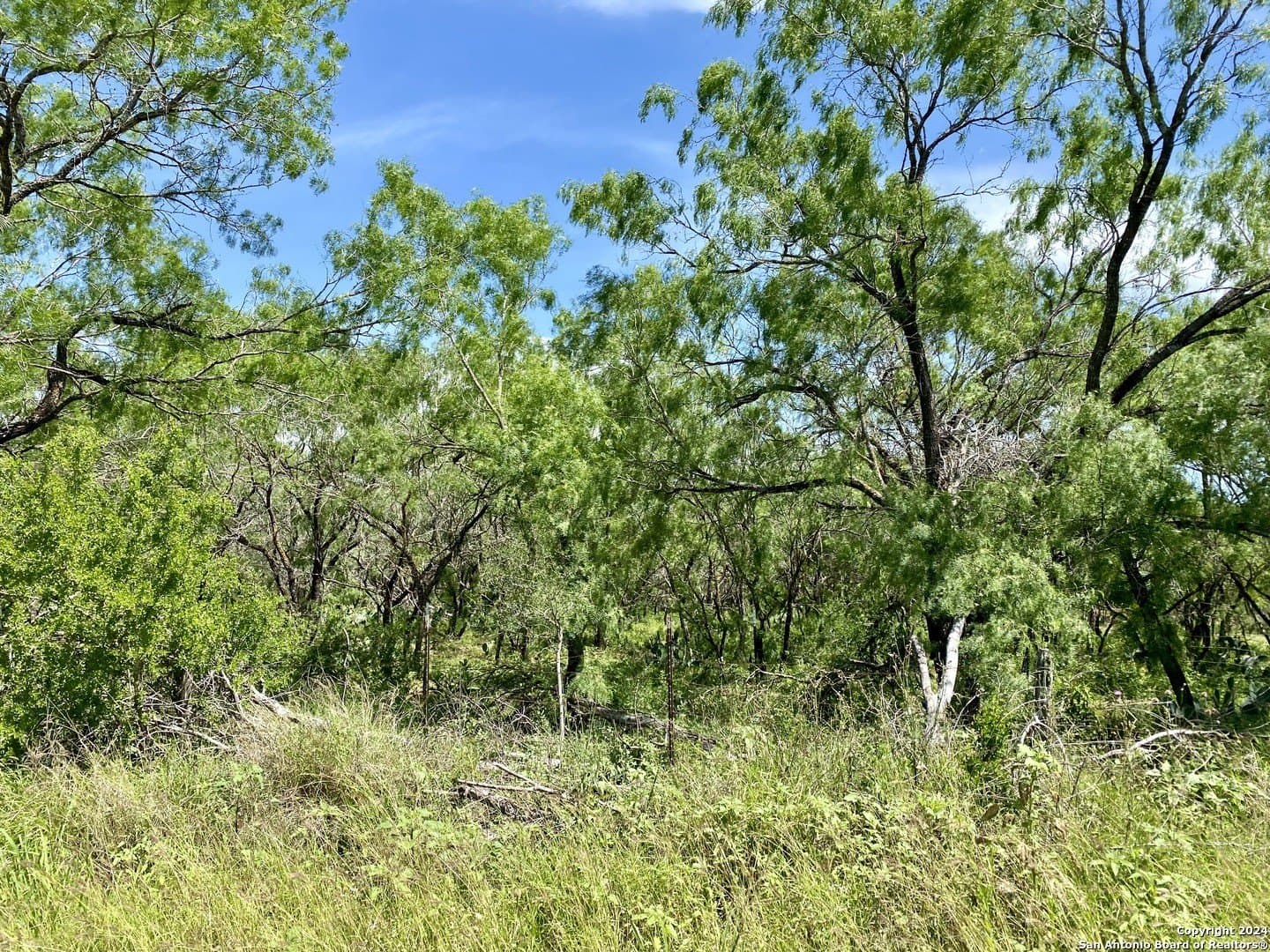 2 acres in Atascosa County - photo 20