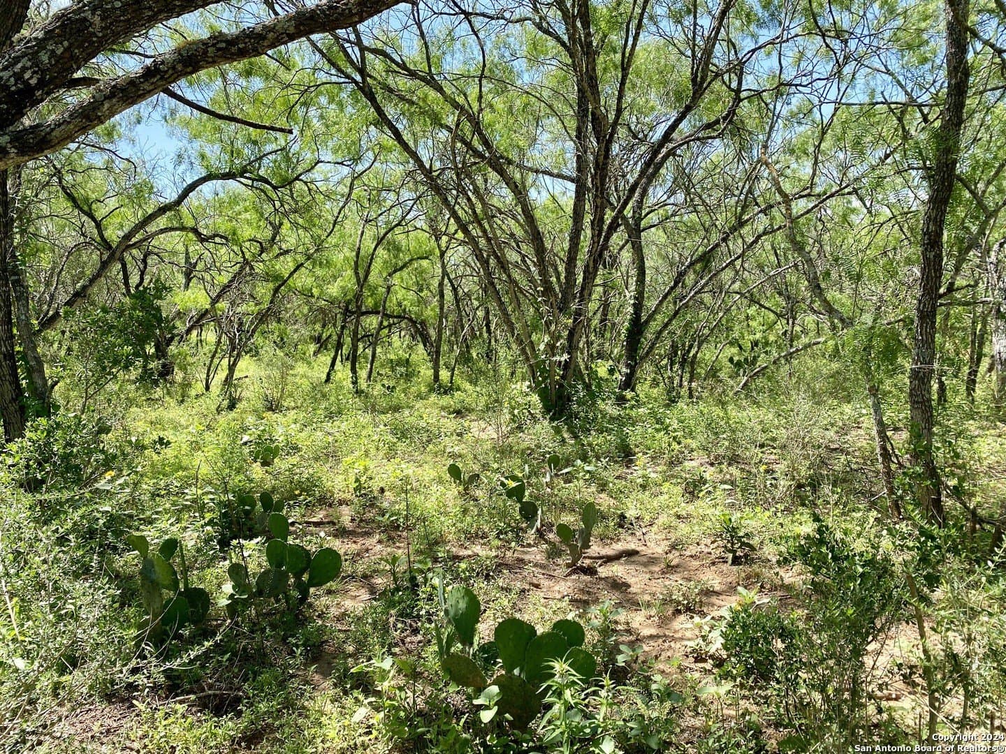 2 acres in Atascosa County - photo 17