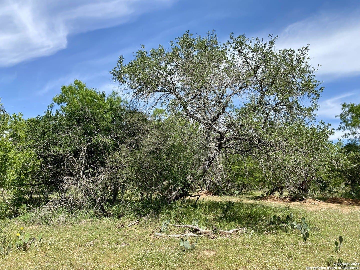 2 acres in Atascosa County - photo 10