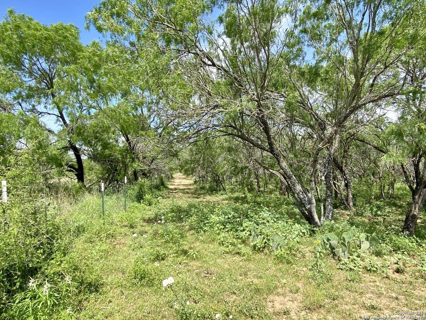 2 acres in Atascosa County - photo 7