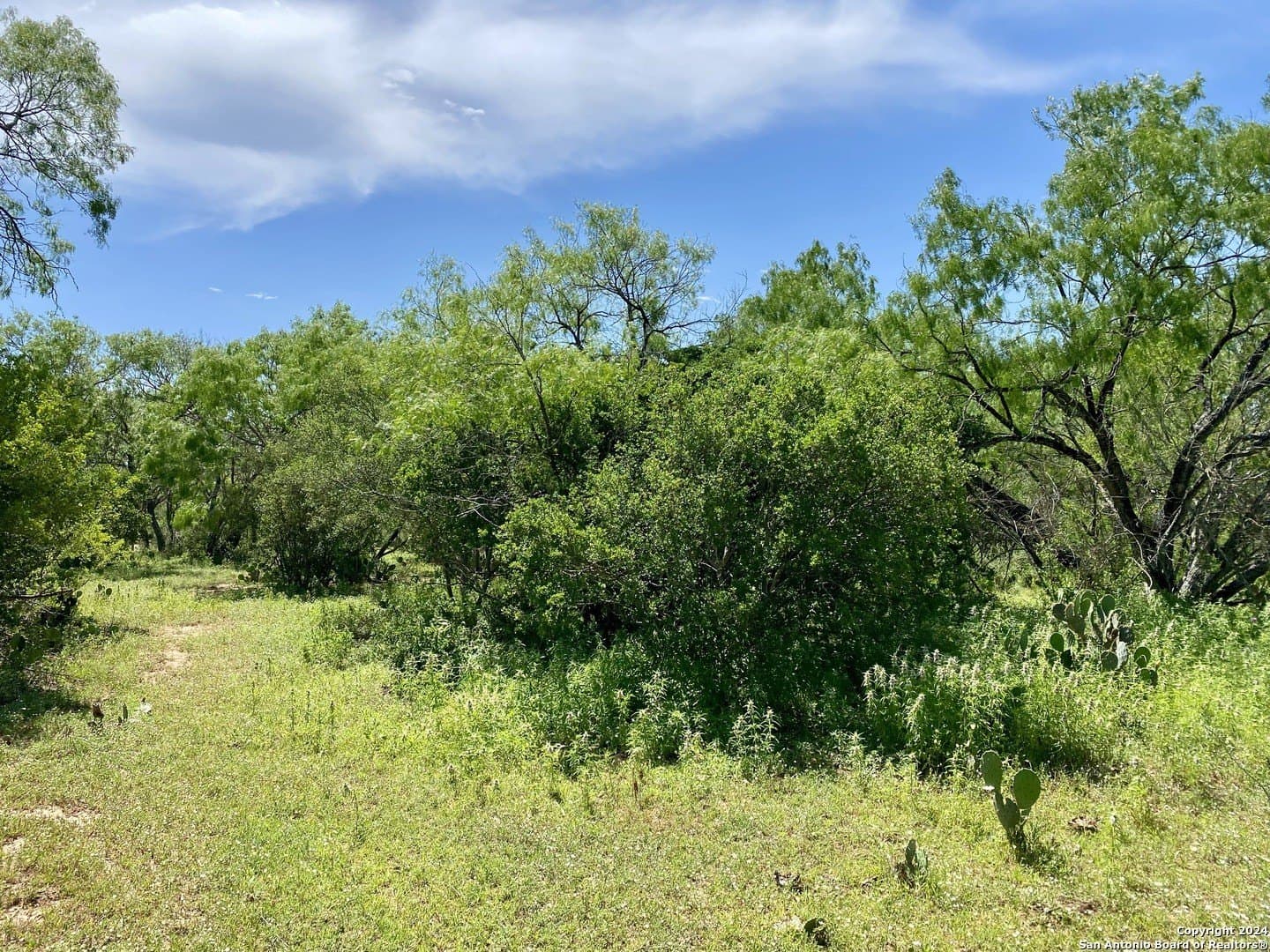 2 acres in Atascosa County - photo 16