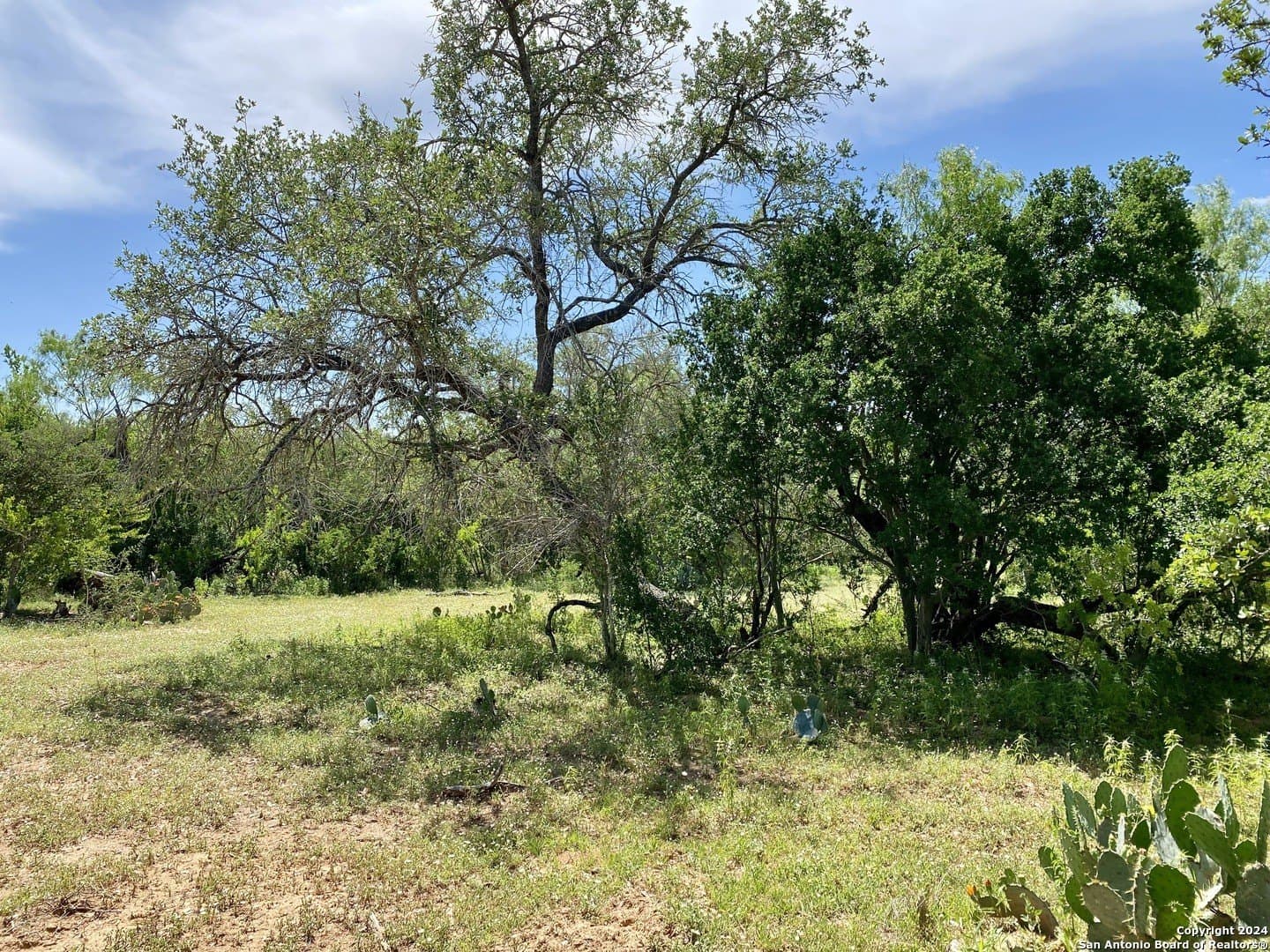 2 acres in Atascosa County - photo 14