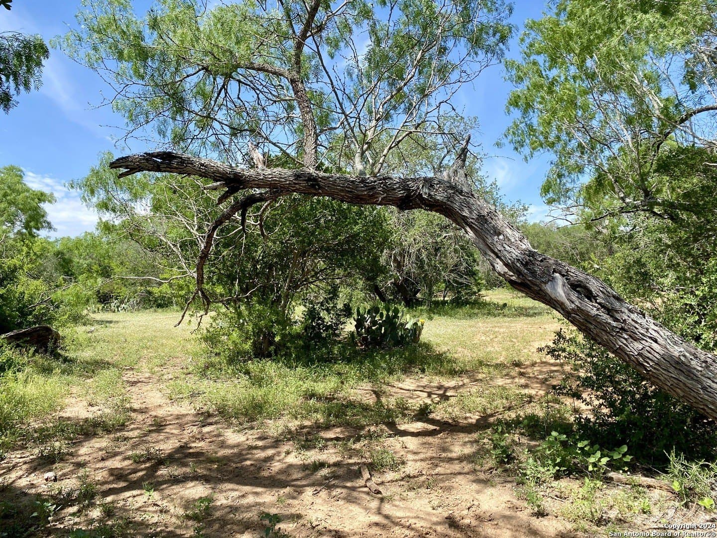2 acres in Atascosa County - photo 12