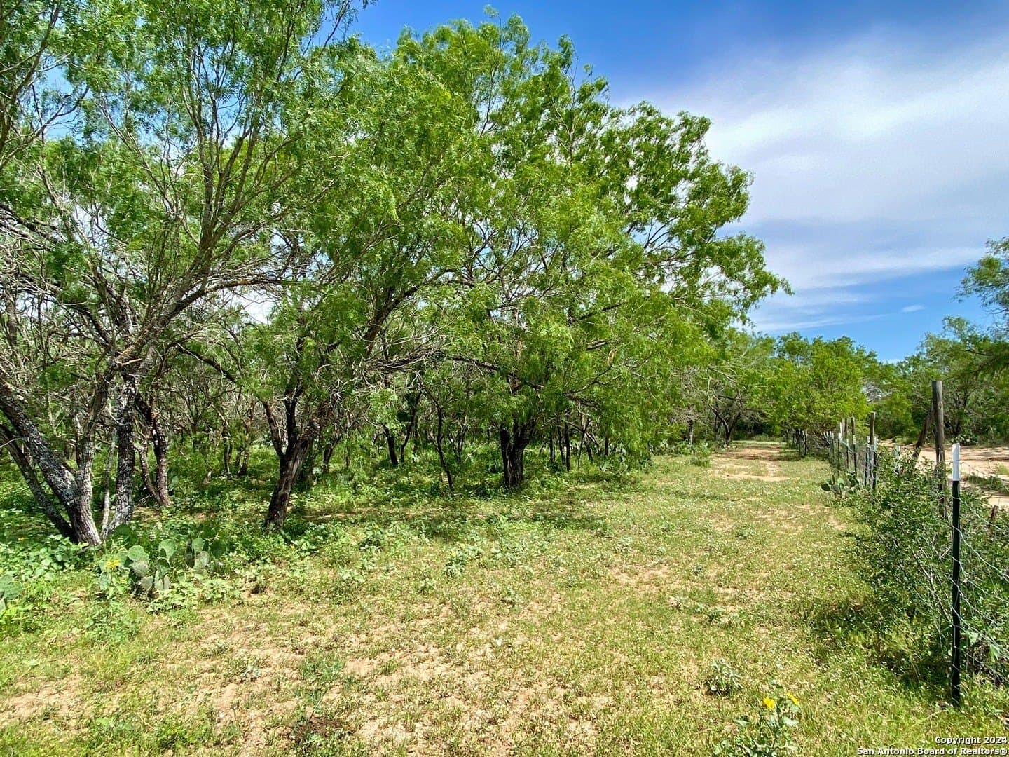 2 acres in Atascosa County - photo 6