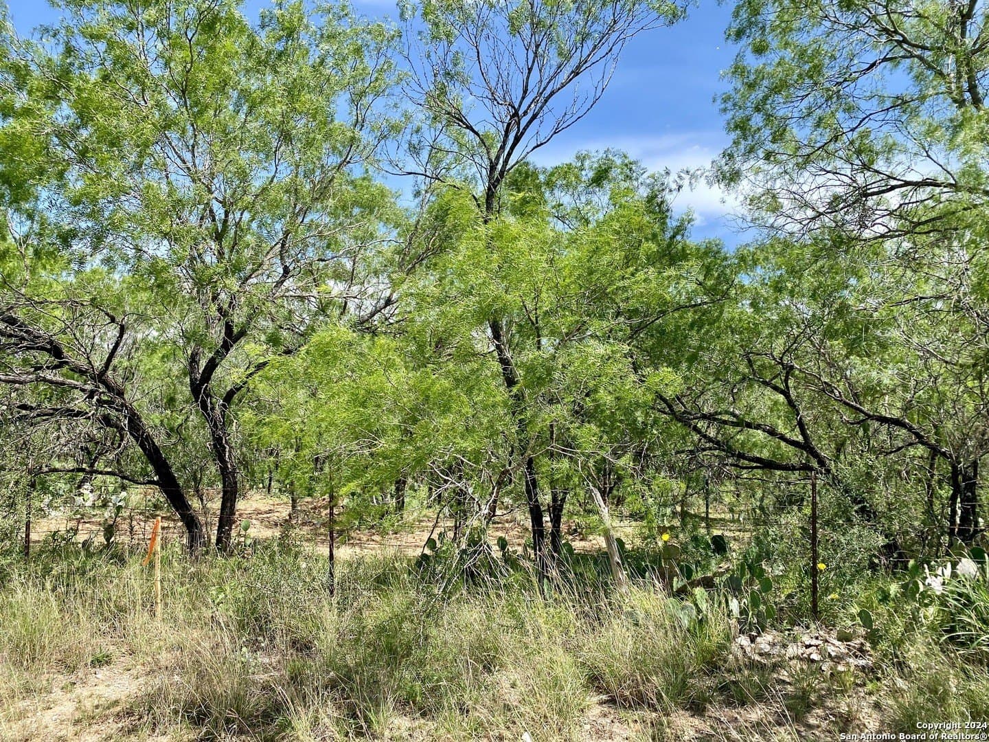 2 acres in Atascosa County - photo 19