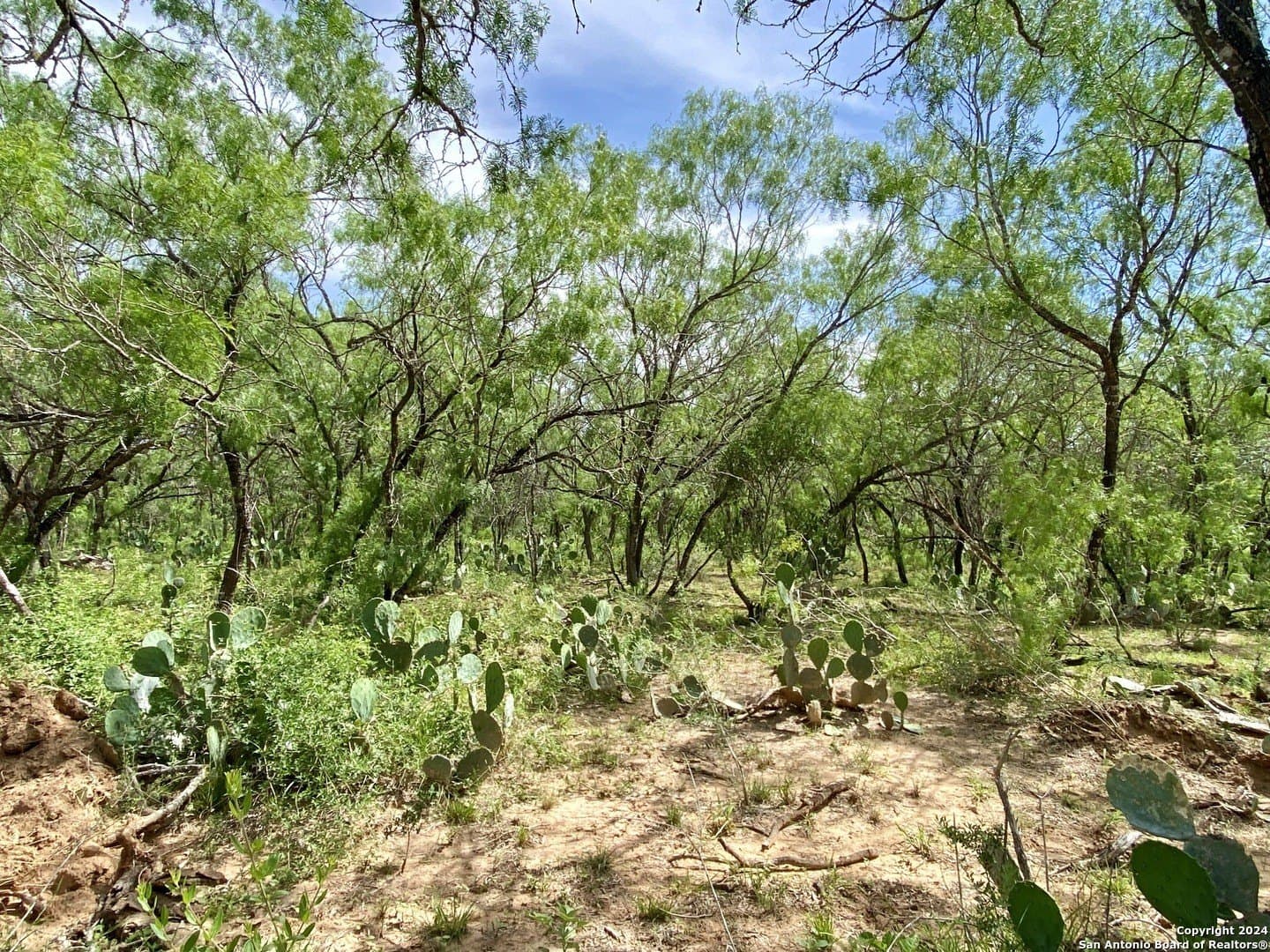 2 acres in Atascosa County gallery image 3