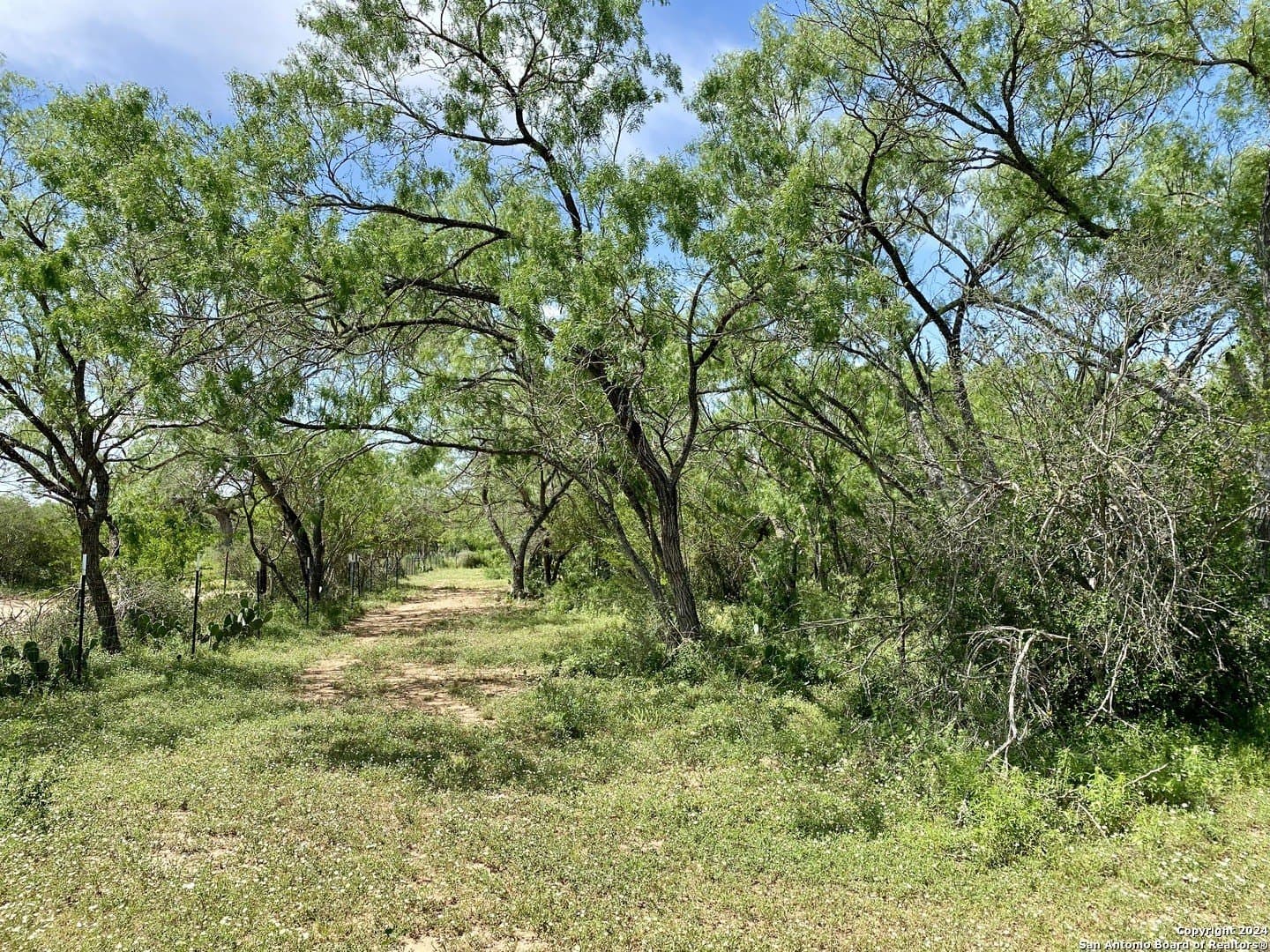 2 acres in Atascosa County - photo 9