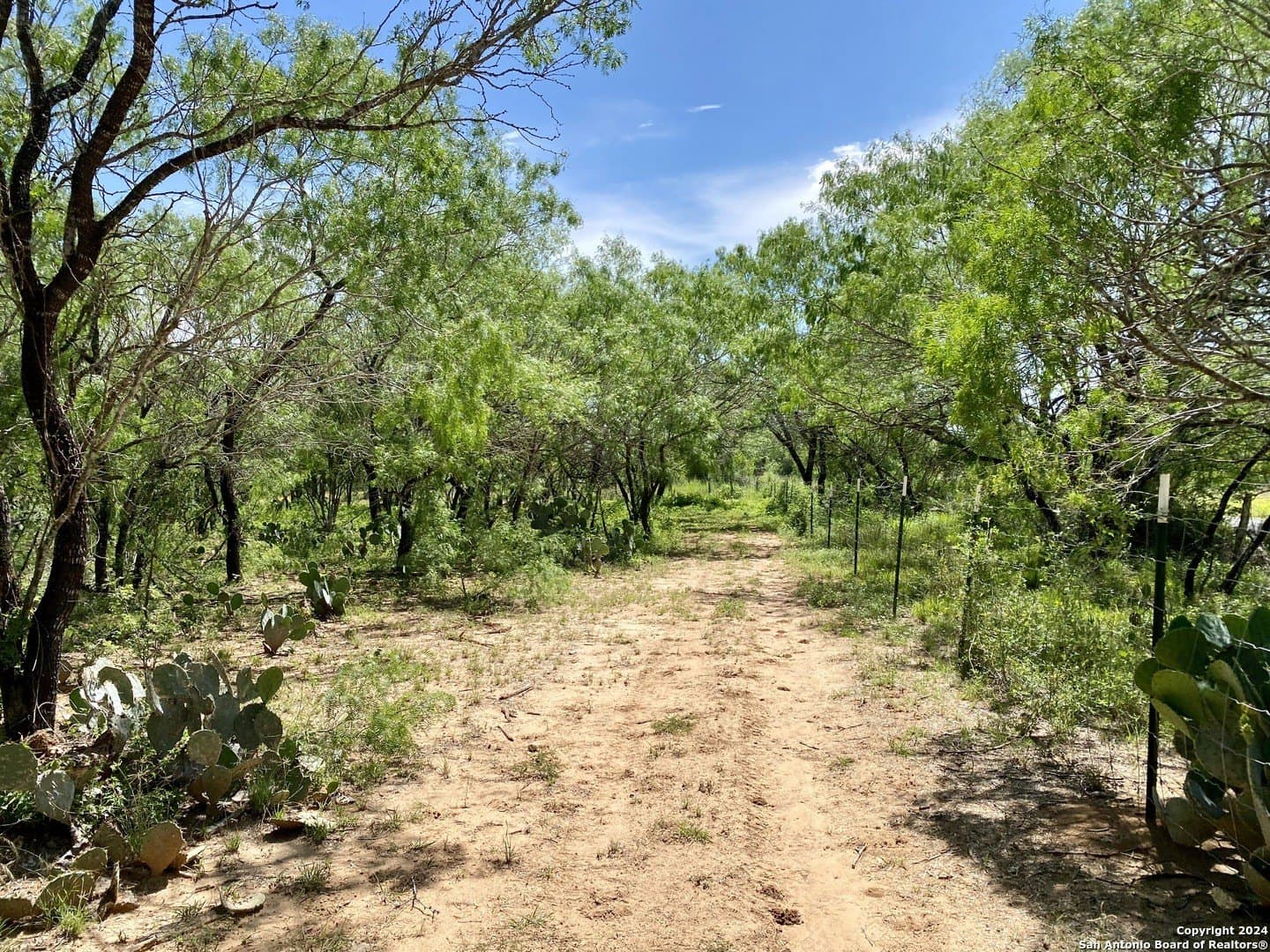 2 acres in Atascosa County - photo 22