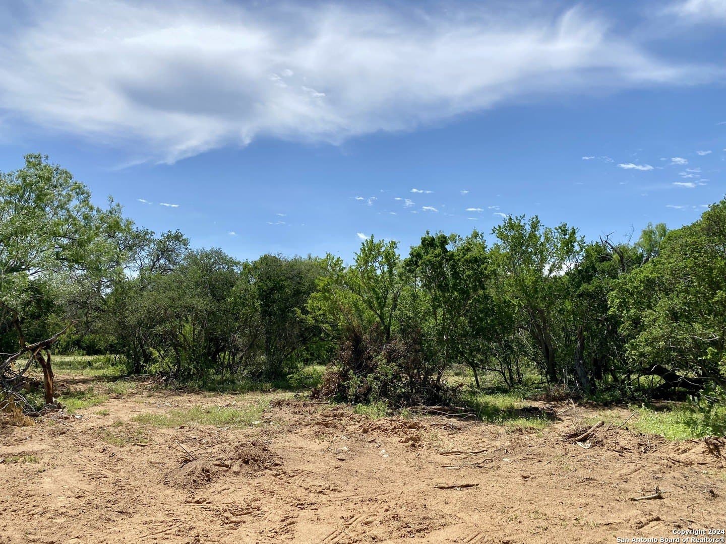 2 acres in Atascosa County - photo 15