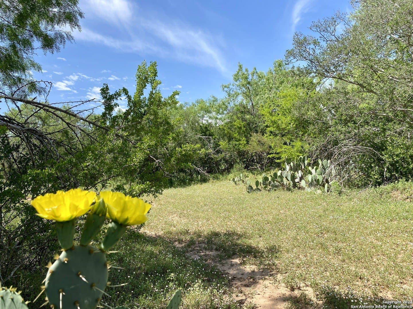 2 acres in Atascosa County - photo 11