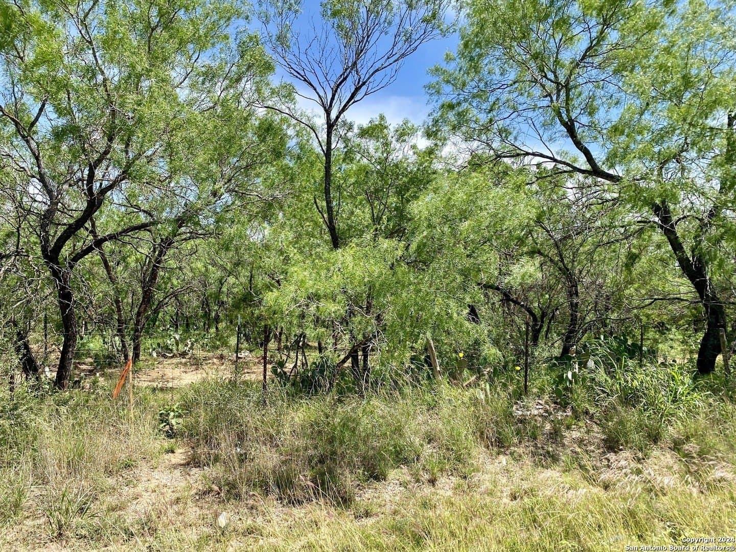 2 acres in Atascosa County - photo 18