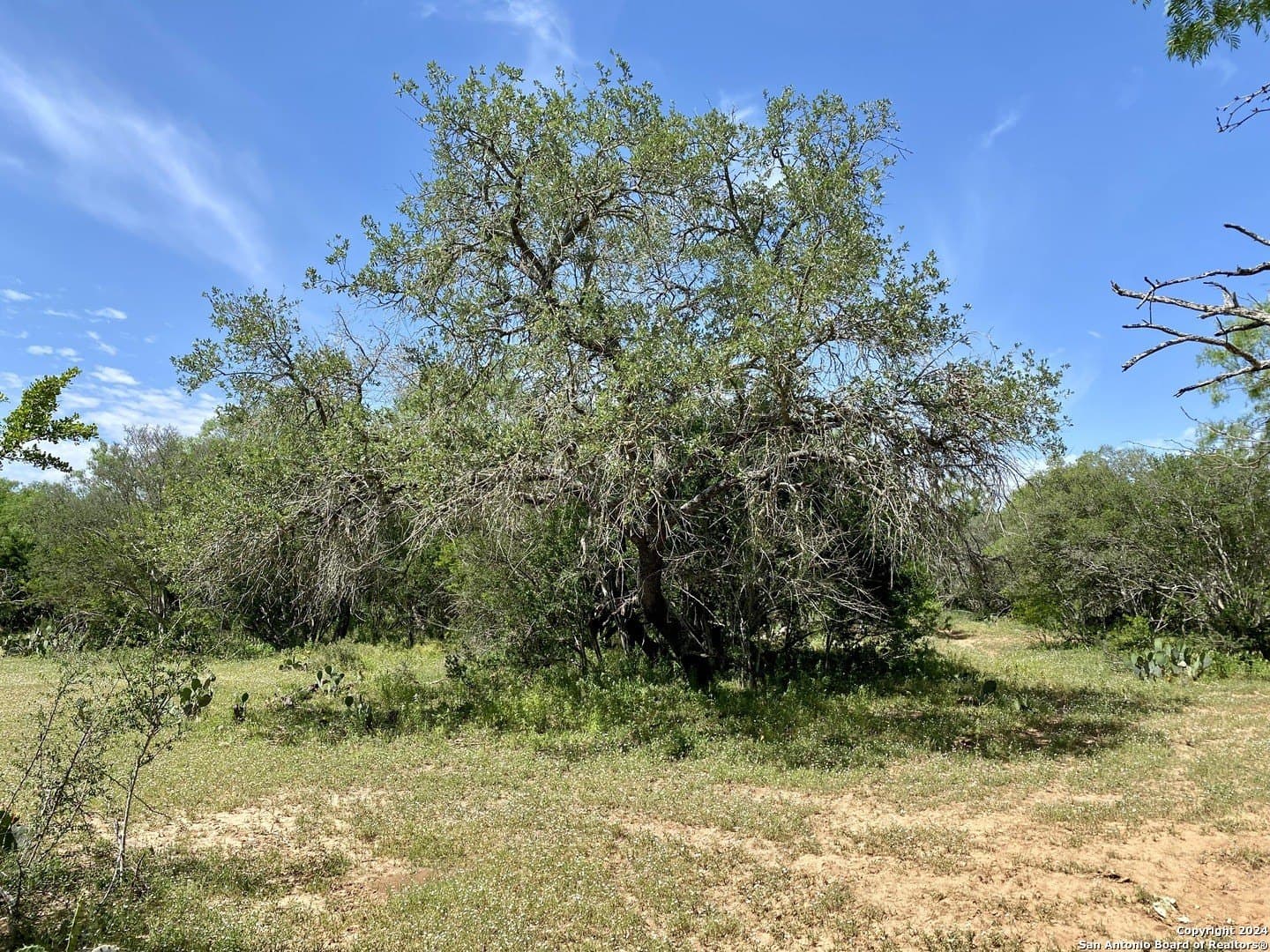 2 acres in Atascosa County - photo 13