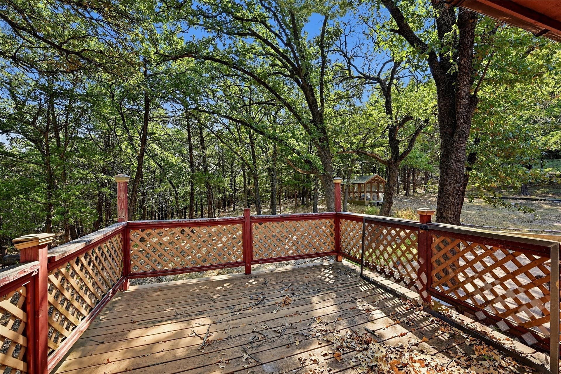 11 acres in Cooke County - photo 11
