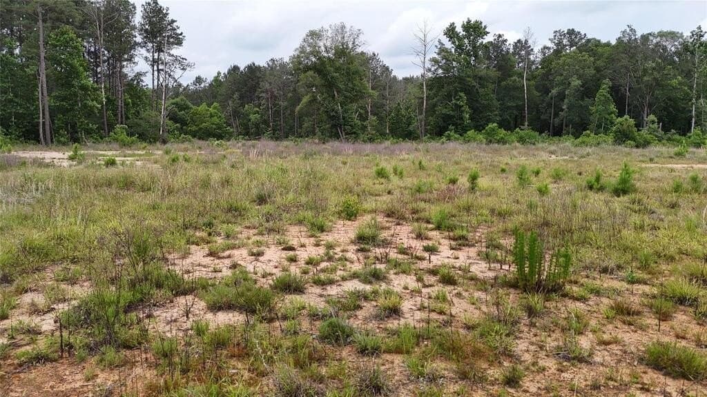 8.44 acres in Texas County - photo 5