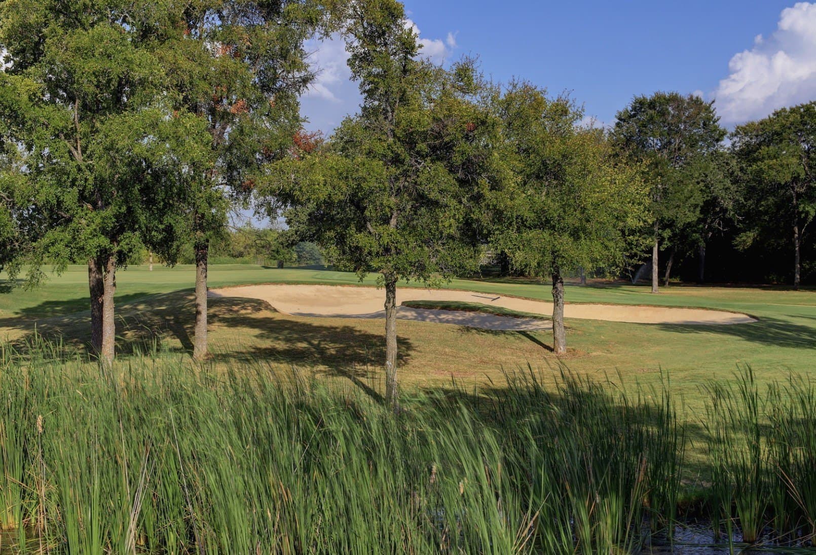0.5 acres in Hill County - photo 18