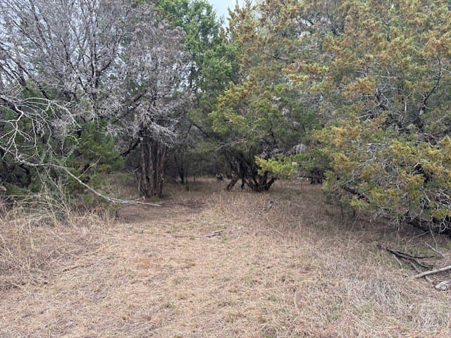 0.5 acres in Hill County - photo 4
