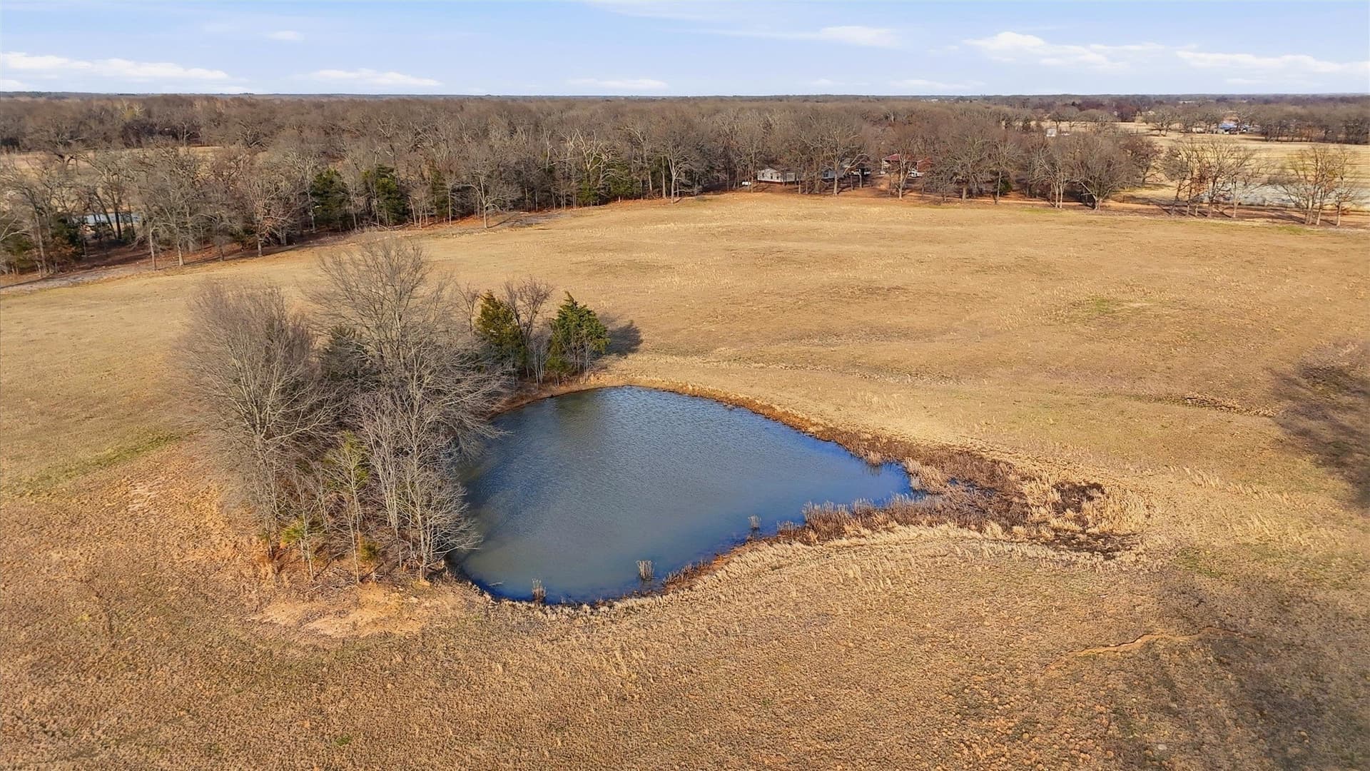 24.06 acres in Lamar County gallery image 2