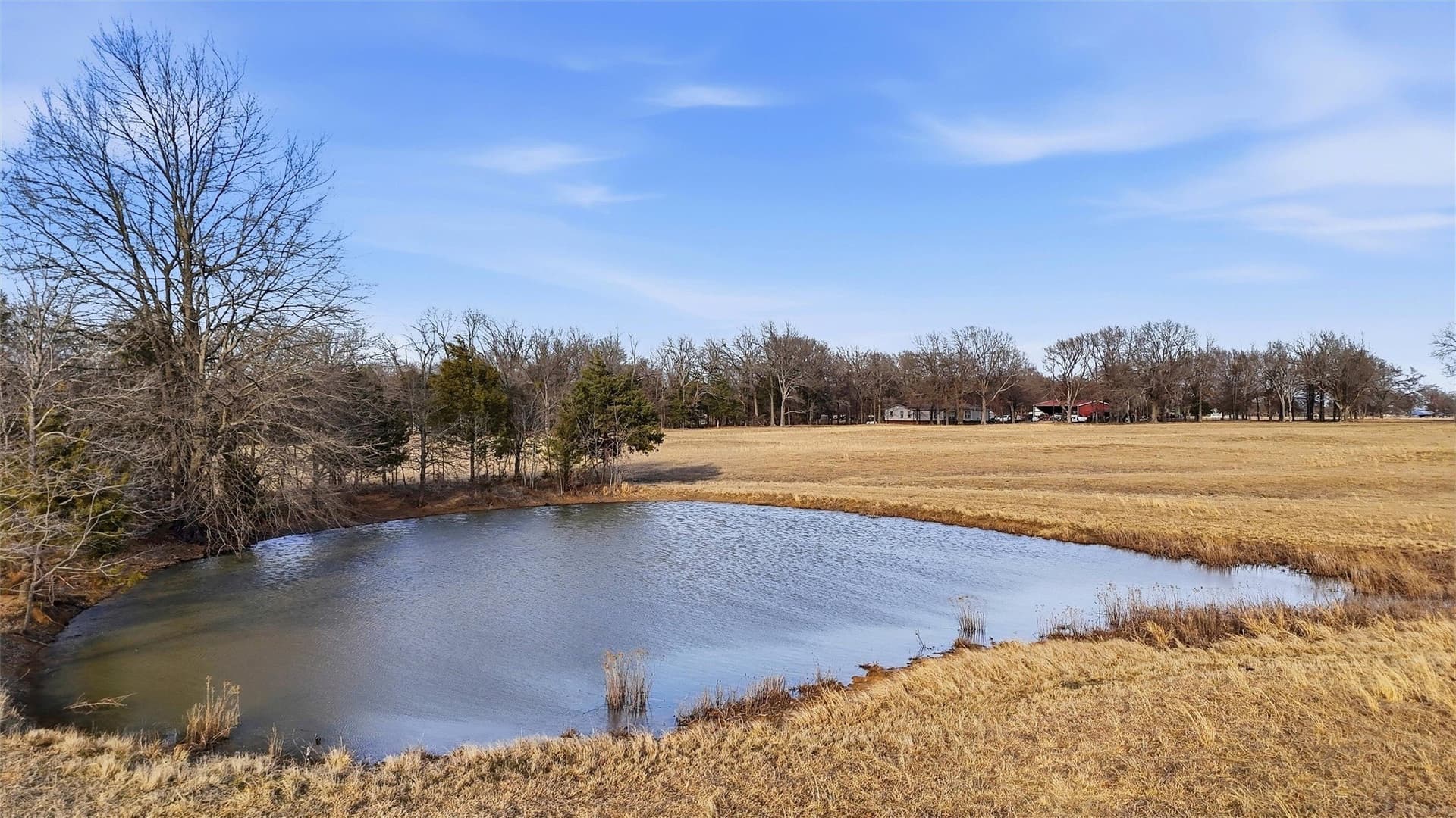 24.06 acres in Lamar County gallery image 3