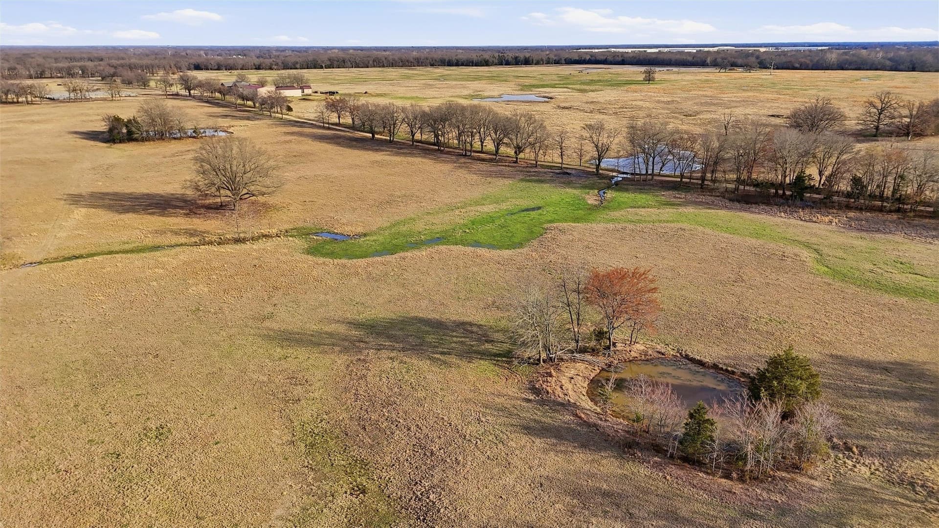 24.06 acres in Lamar County gallery image 4