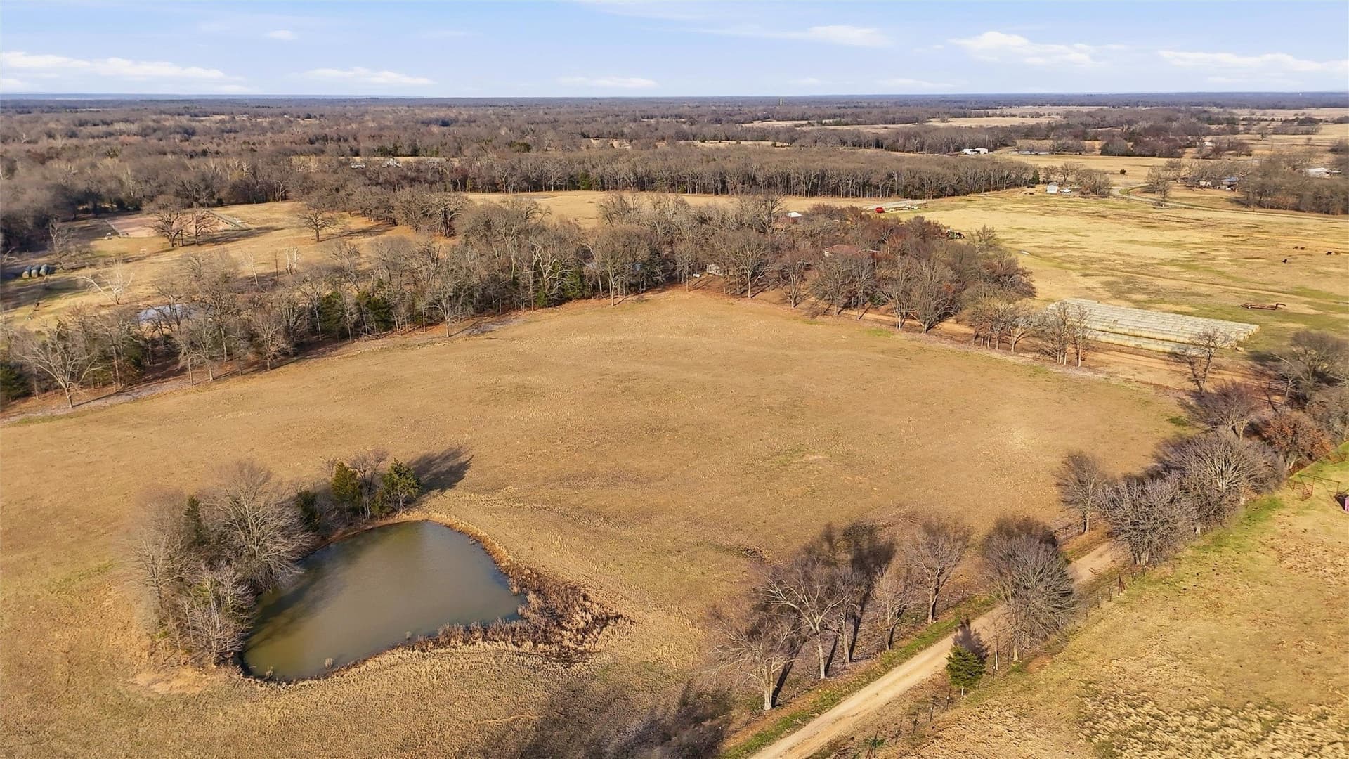 24.06 acres in Lamar County
