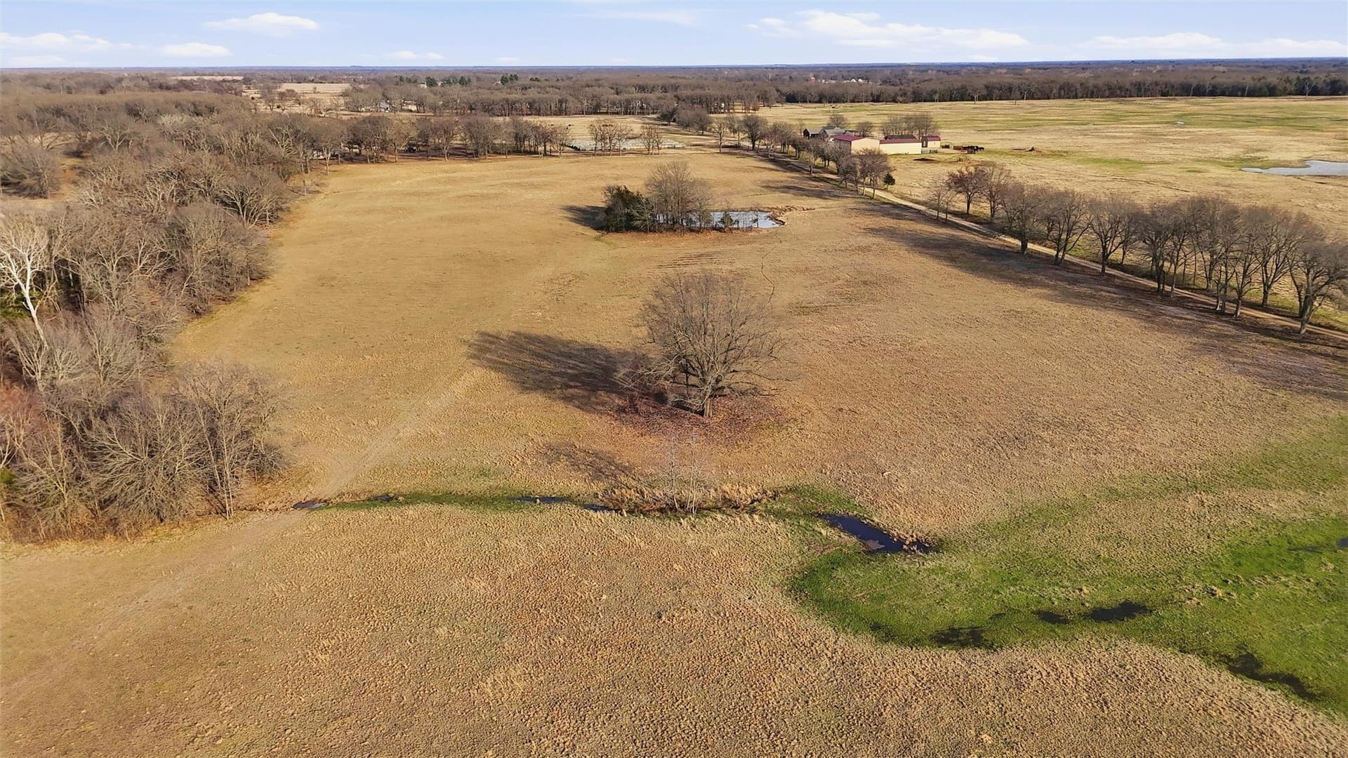 24.06 acres in Lamar County featured view