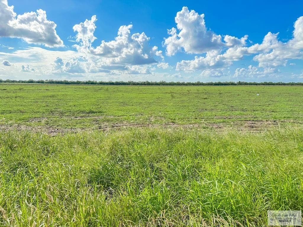 10.04 acres in CAMERON County gallery image 3