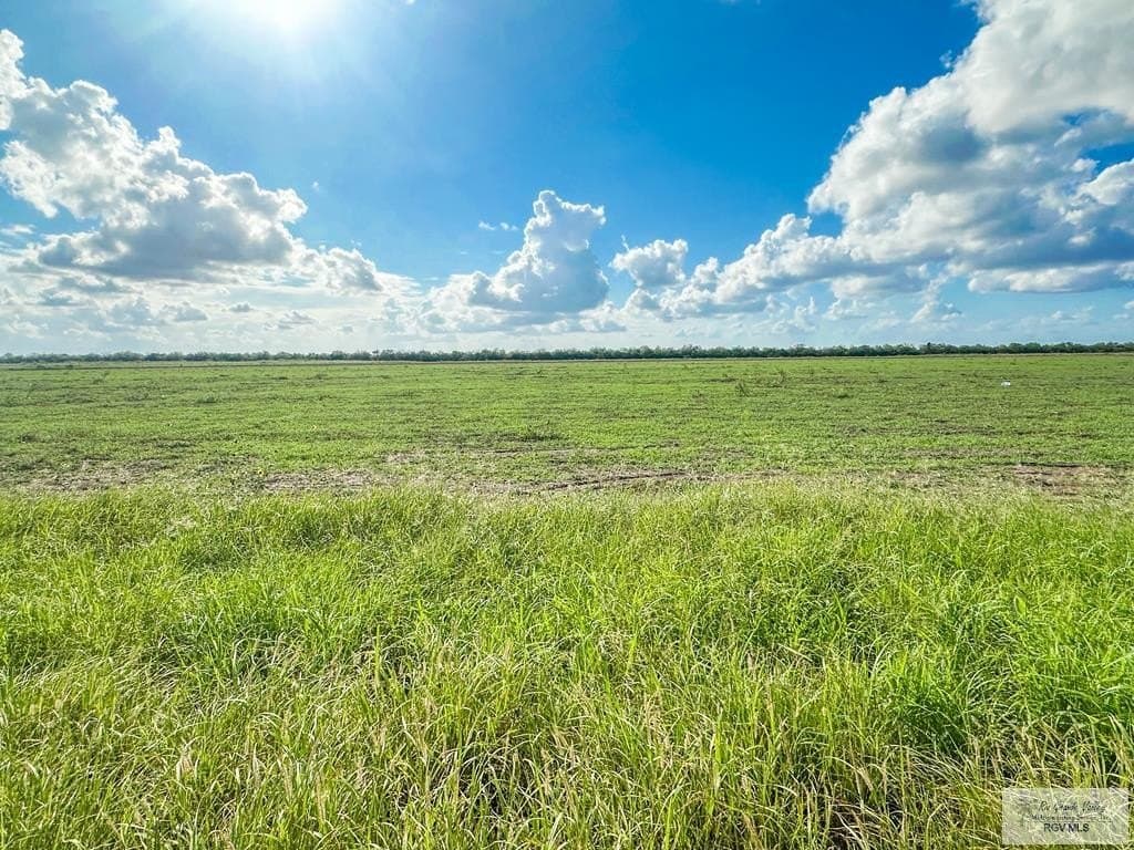 10.04 acres in CAMERON County gallery image 4