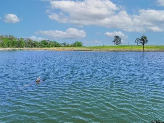 15.71 acres in Van Zandt County - photo 16