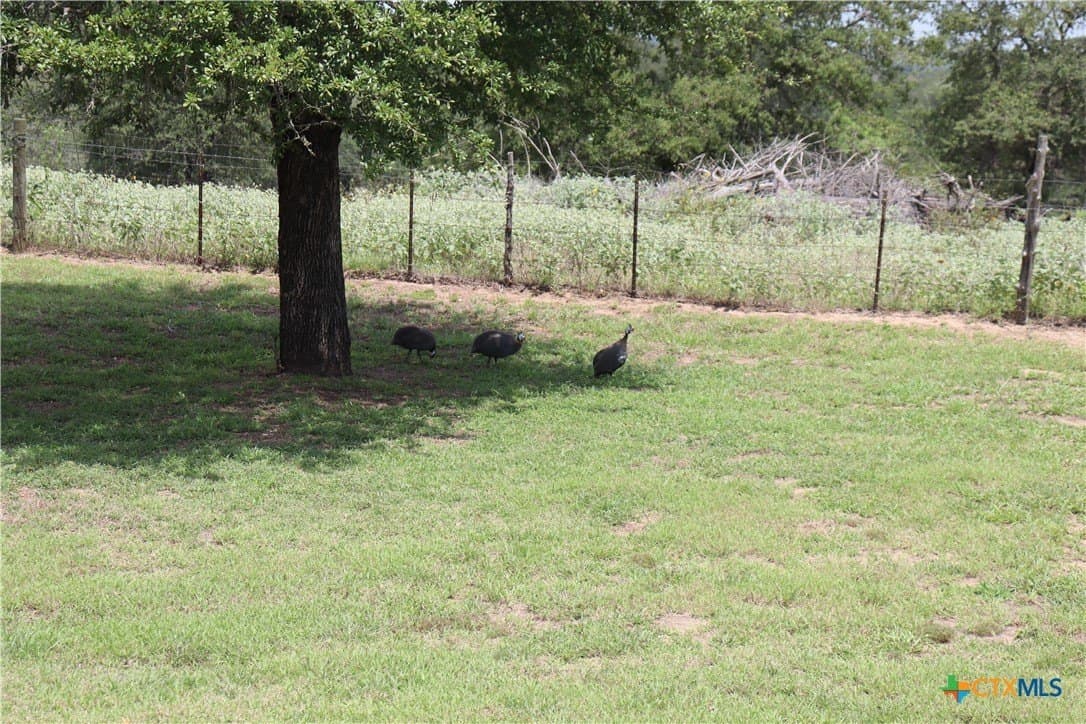 14.38 acres in Caldwell County - photo 9