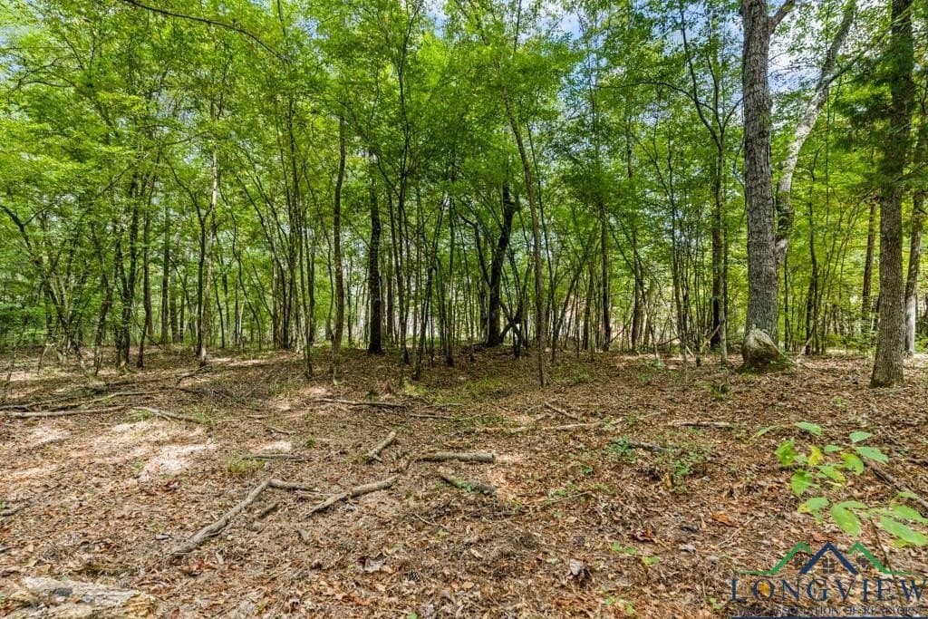 28 acres in Cass County gallery image 3