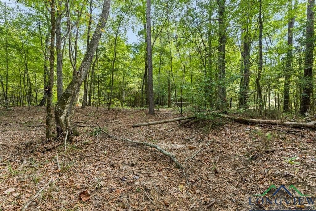 28 acres in Cass County gallery image 2