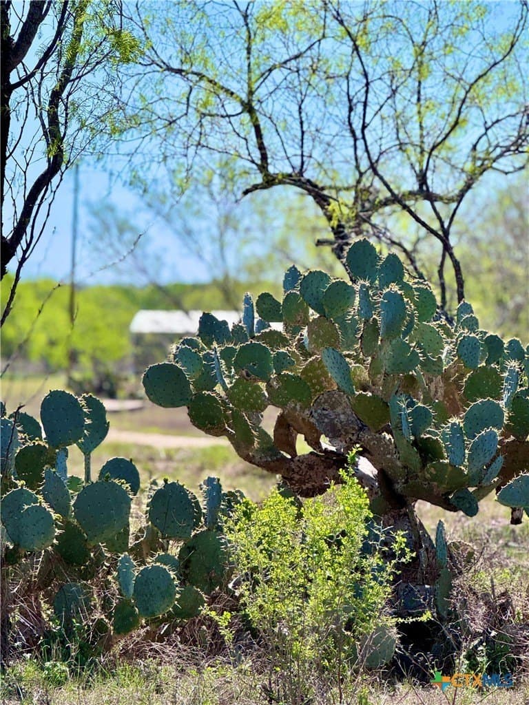 11 acres in Guadalupe County featured view