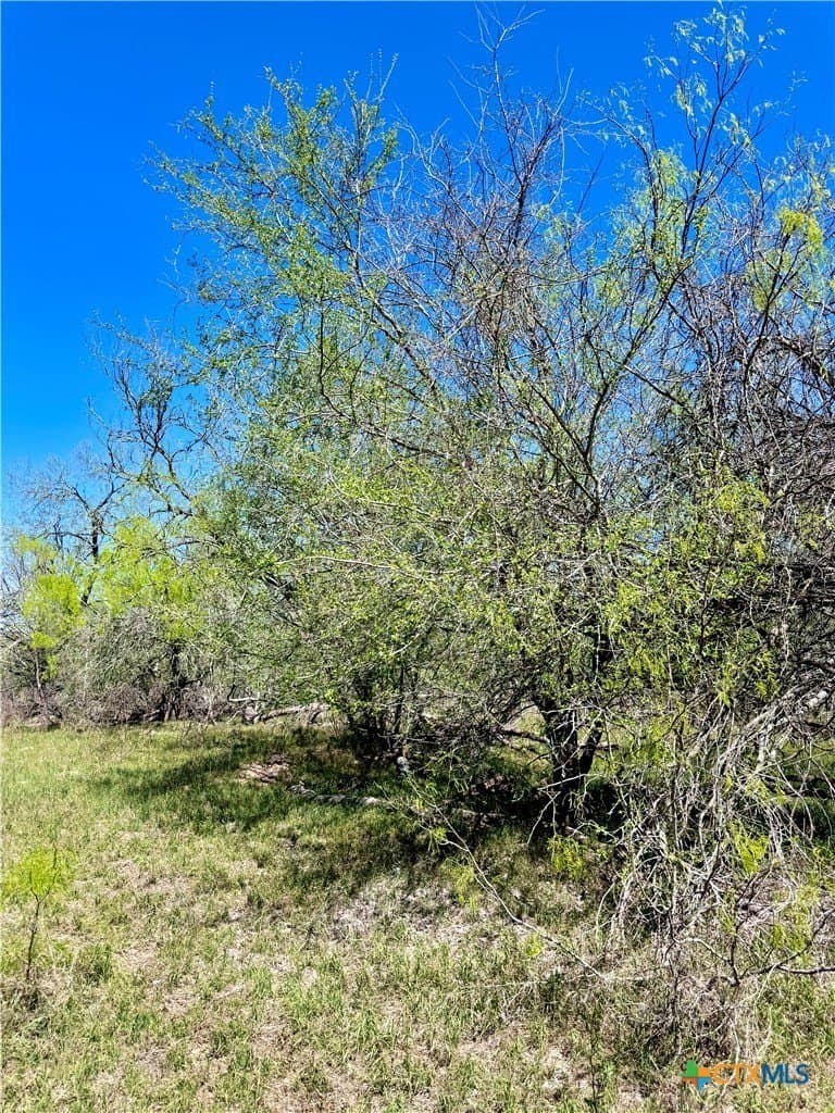 11 acres in Guadalupe County - photo 9