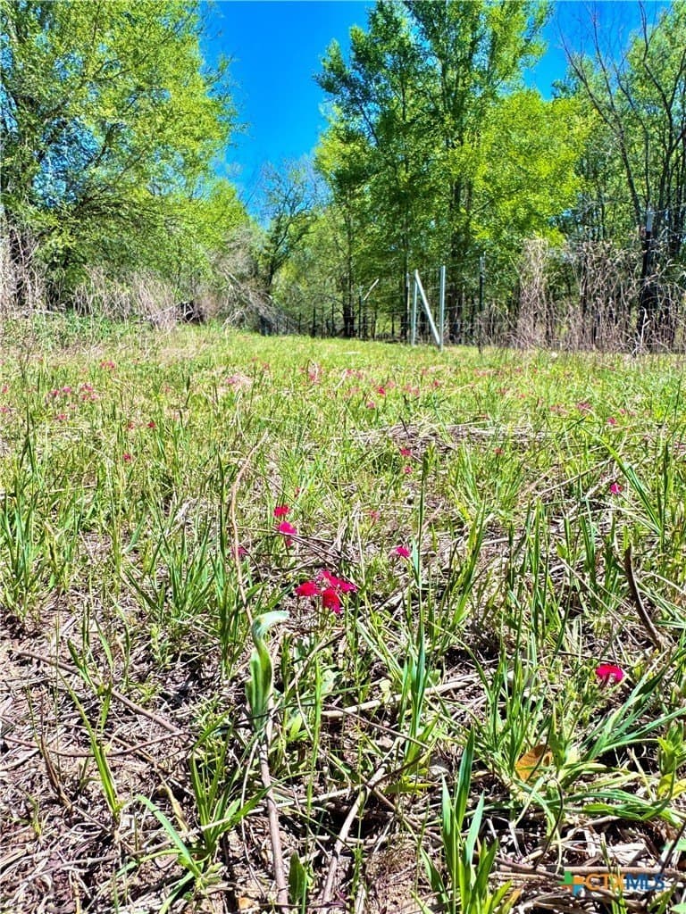 11 acres in Guadalupe County - photo 11