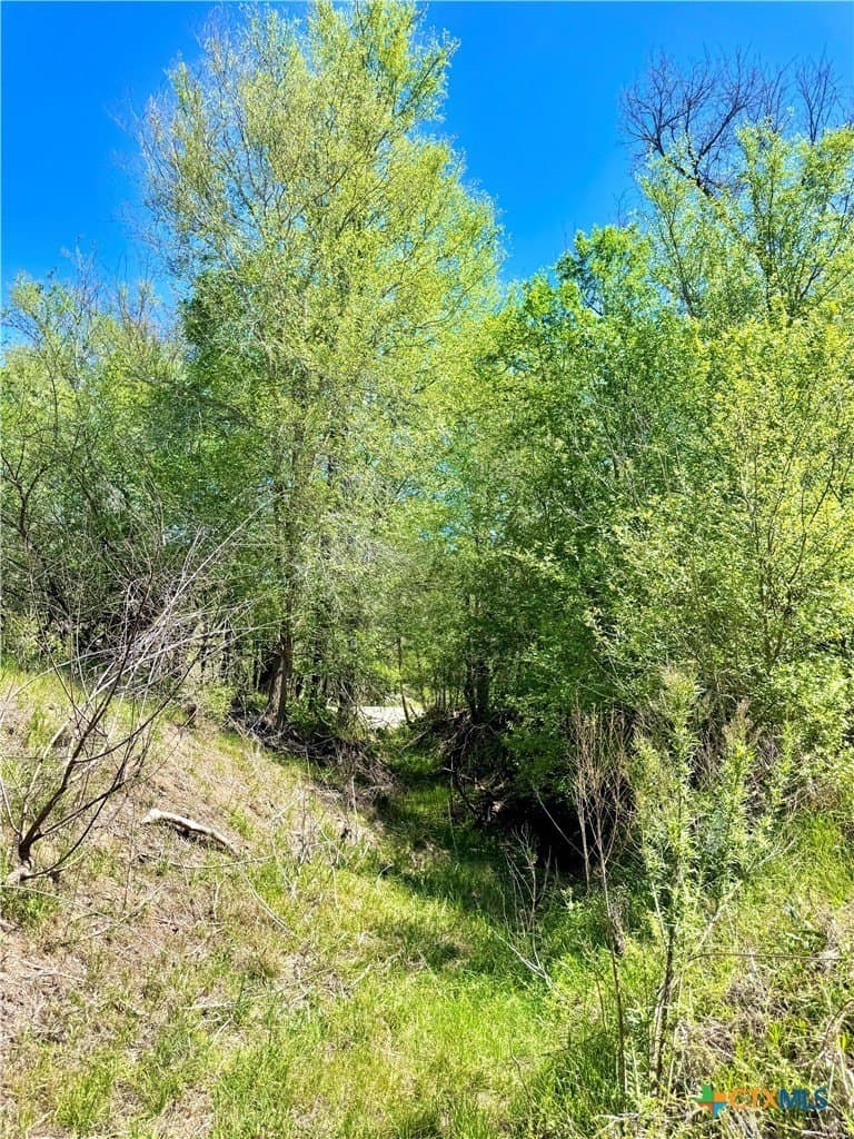 11 acres in Guadalupe County - photo 10