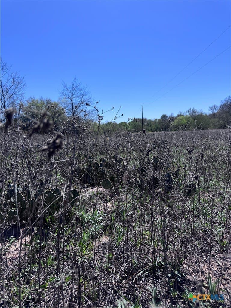 11 acres in Guadalupe County - photo 6